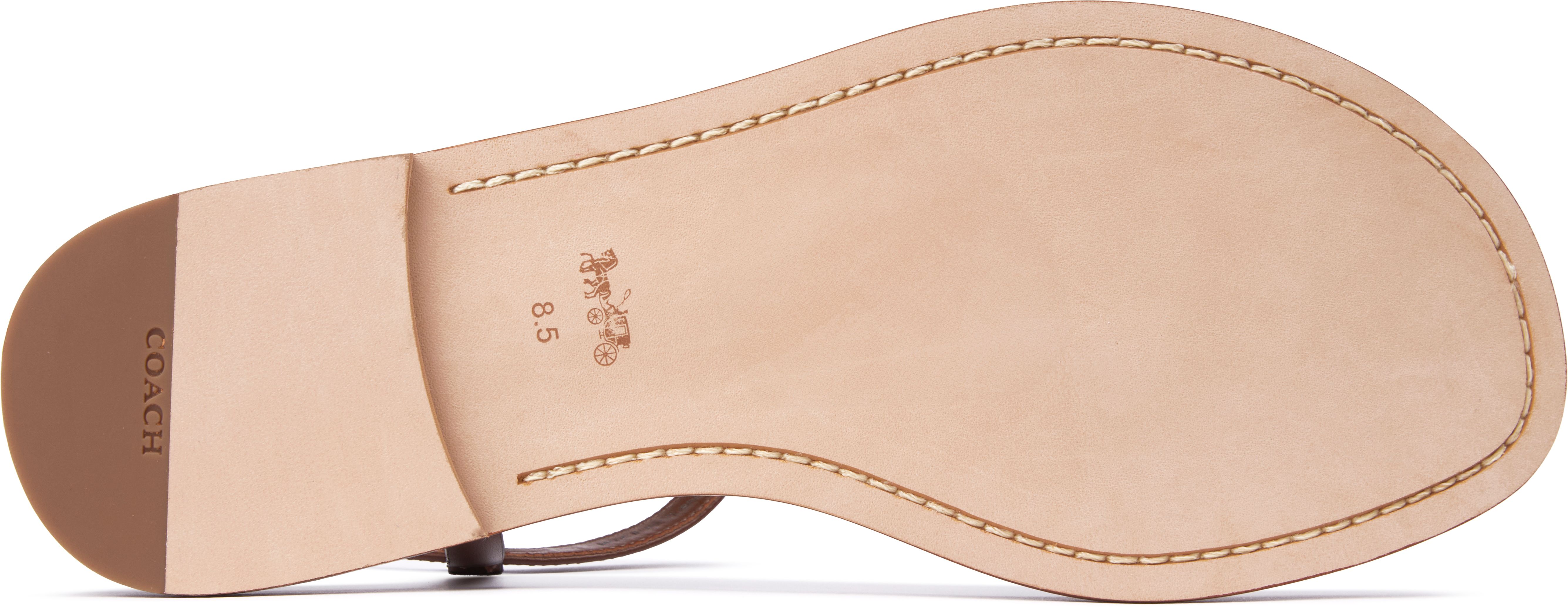 【Coach】 Jessica Sandal レザーサンダル ◆国内発送◆ Womens Coach Jessica Sandals In Champagne | Soletrader
